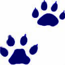 blue paw